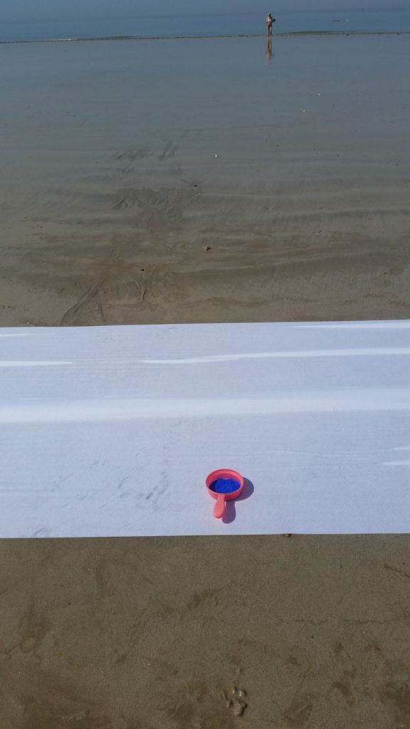 land art, mise en corps, mise en mots. Stage en mai 2026 à l' Ile de Ré avec Cécile Orsoni art-thérapeute